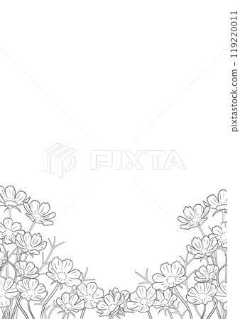 Cosmos black and white background frame Cosmos black and white background frame 119220011