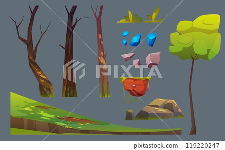 Forest landscape design elements set Forest landscape design elements set 119220247