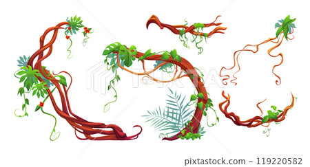 Twisted liana branch with green leaves and flowers 119220582