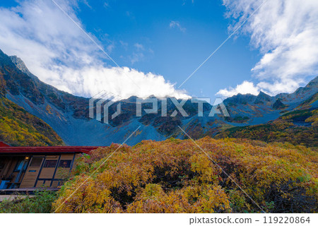 [絕美秋景] 唐澤捲毛與紅葉的絕景[長野縣] 119220864