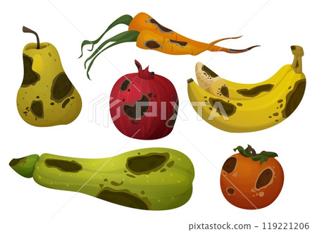 Rotten food with rot and mold. 119221206