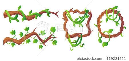 Jungle liana vine - long branches and frame Jungle liana vine - long branches and frame 119221231