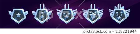 Set of insignia rank badges isolated on background 119221944