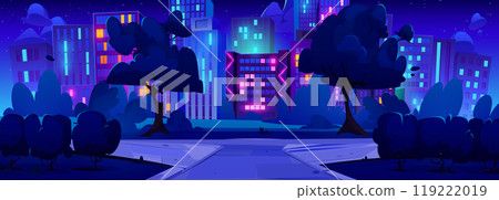 Summer city park at night 119222019