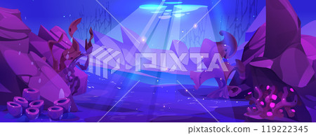 Underwater seabed with corals, seaweeds and stones 119222345