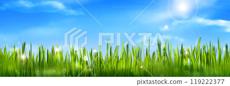 Realistic green grass and blue sunny sky landscape Realistic green grass and blue sunny sky landscape 119222377
