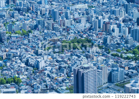 Aerial view of densely populated residential areas in Tokyo (Sumida, Taito, and Arakawa areas) 119222743