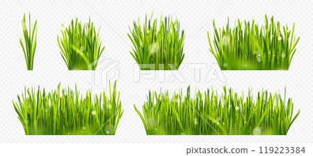 Realistic green lawn grass border with sun light 119223384
