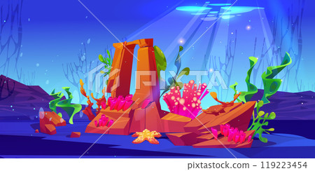 Seabed with underwater corals, stones and algae. Seabed with underwater corals, stones and algae. 119223454