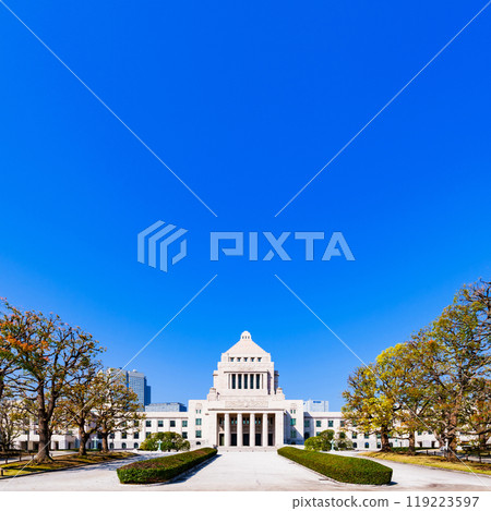 National Diet Building [Image of the Japanese Diet, elections, and illicit funds] *Photographed from a public road outside the subject's premises 119223597