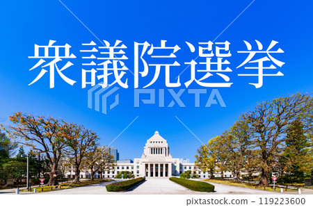 National Diet Building [Image of the Japanese Diet, elections, and illicit funds] *Photographed from a public road outside the subject's premises 119223600