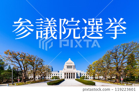 National Diet Building [Image of the Japanese Diet, elections, and illicit funds] *Photographed from a public road outside the subject's premises 119223601