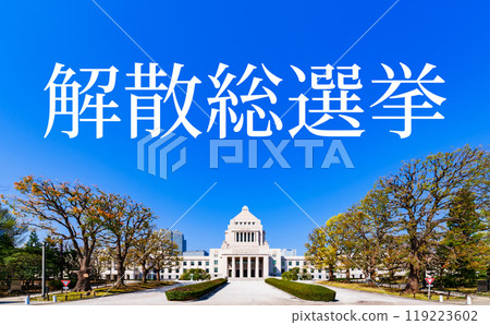 National Diet Building [Image of the Japanese Diet, elections, and illicit funds] *Photographed from a public road outside the subject's premises 119223602