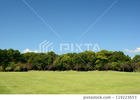 藍天和寬闊的草坪公園 119223653