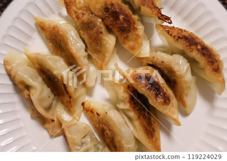 手工製作的煎餃子 手工製作的煎餃子 119224029