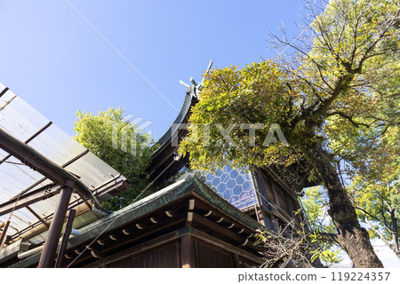 石切劍柏神社正殿後方(2024年9月拍攝) 石切劍柏神社正殿後方(2024年9月拍攝) 119224357