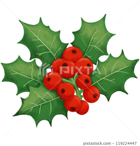 Retro Christmas Holly with Red Berries and Green Leaves - Classic Holiday Decor Illustration 119224447