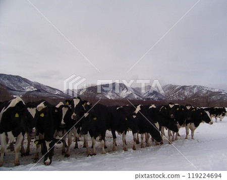 Ranch in Hidaka, Hokkaido 3 Ranch in Hidaka, Hokkaido 3 119224694