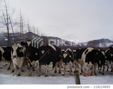 Ranch in Hidaka, Hokkaido 4 Ranch in Hidaka, Hokkaido 4 119224695