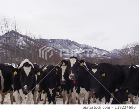 Ranch in Hidaka, Hokkaido 5 Ranch in Hidaka, Hokkaido 5 119224696