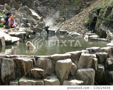 長野縣地獄谷猴園(世界上唯一泡溫泉的猴子) 長野縣地獄谷猴園(世界上唯一泡溫泉的猴子) 119224836