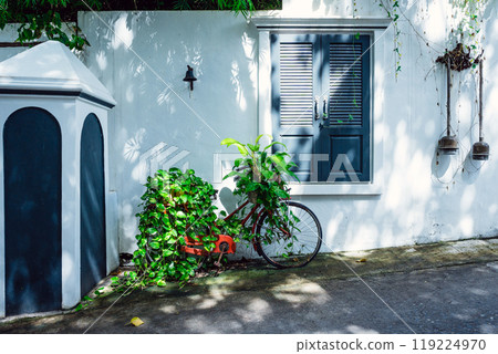 A retro bicycle surrounded by greenery and a white wall A retro bicycle surrounded by greenery and a white wall 119224970