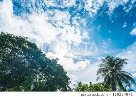 [Thailand] A quiet morning on the beach of Koh Phangan 119224978