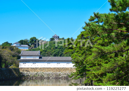 Hikone castle 119225277