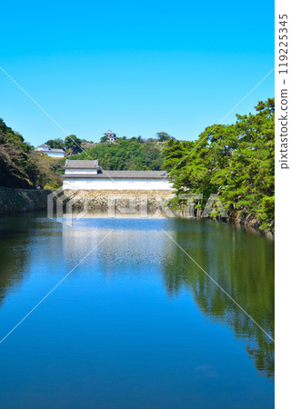Hikone castle 119225345