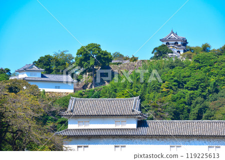 Hikone castle 119225613