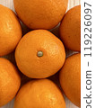 Multiple mandarin oranges close-up 119226097