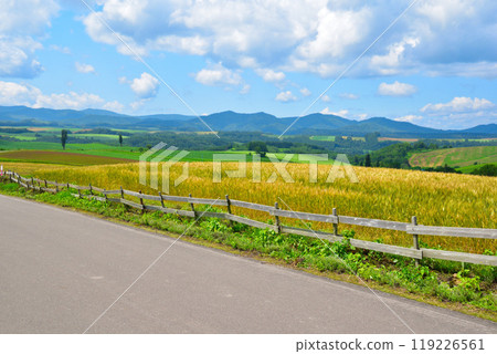 夏季北海道麥田山 夏季北海道麥田山 119226561