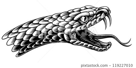 Snake Head Woodcut Vintage Etched Woodcut Style 119227010
