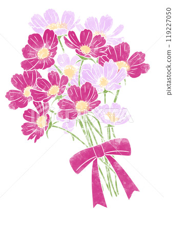 Pink cute cosmos bouquet Pink cute cosmos bouquet 119227050