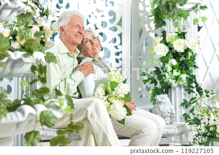 Elderly couple sitting at the country house 119227105