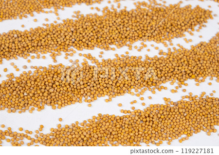 Scattered Dry Yellow Mustard Grains on White Background Top View Scattered Dry Yellow Mustard Grains on White Background Top View 119227181