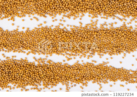 Scattered Dry Yellow Mustard Grains on White Background Top View Scattered Dry Yellow Mustard Grains on White Background Top View 119227234