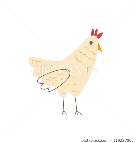 Chicken isolated on white background. Fun hen character. Vector hand drawn illustration 119227803