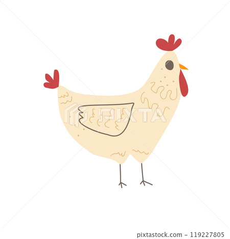 Chicken isolated on white background. Poultry hen character. Vector hand drawn illustration 119227805