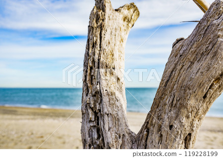 Sandy beach landscape 119228199
