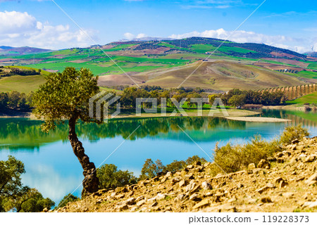 Spanish nature landscape in Andalucia. 119228373