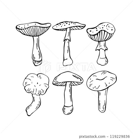 Hand drawn vector mushrooms set. Outline black vector forest elements  119229836