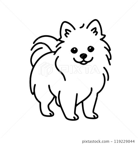 A simple line drawing of a cute Pomeranian puppy looking at you, cut out on a transparent background 119229844