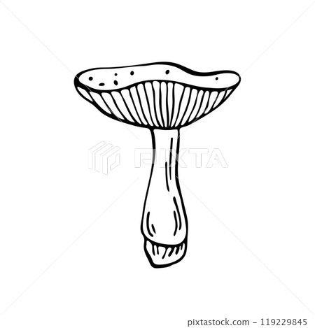 Hand drawn vector mushroom. Outline black vector forest element 119229845