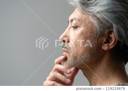 美麗的中年白髮 119229879