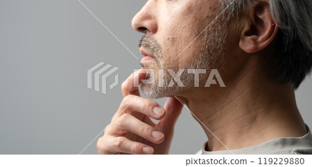 Beauty Middle Age Gray Hair 119229880