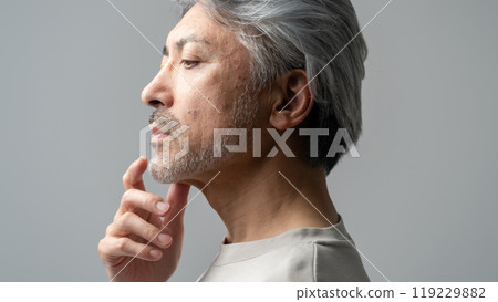 Beauty Middle Age Gray Hair 119229882