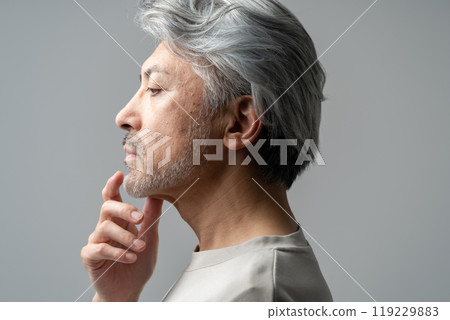 Beauty Middle Age Gray Hair 119229883
