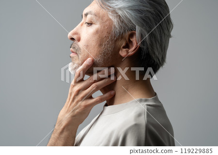 Beauty Middle Age Gray Hair Beauty Middle Age Gray Hair 119229885