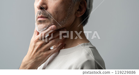 Beauty Middle Age Gray Hair Beauty Middle Age Gray Hair 119229886